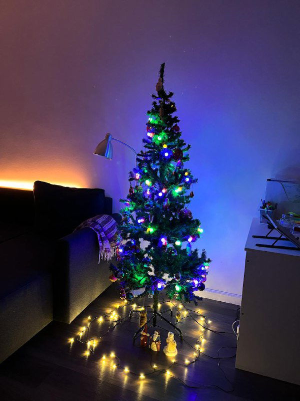 Последняя неделя года: зимняя еда и новогодняя лексика