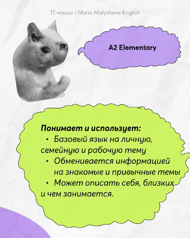 Иллюстрация уровня A2 Elementary: фото кота и текст в зелёной рамке о базовом общении на личные и рабочие темы, описание умений уровня.