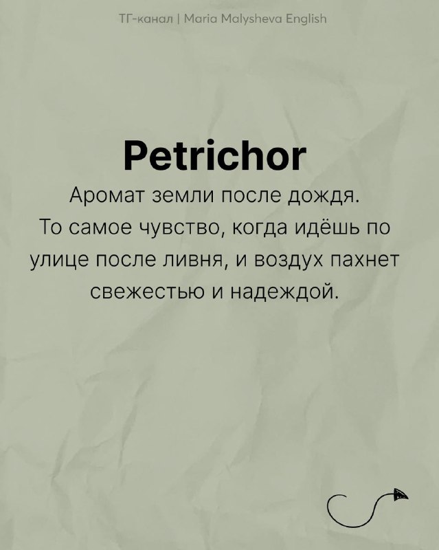 Слайд: «Petrichor» — аромат земли после дождя; краткое пояснение на мятом фоне, аккуратная типографика.