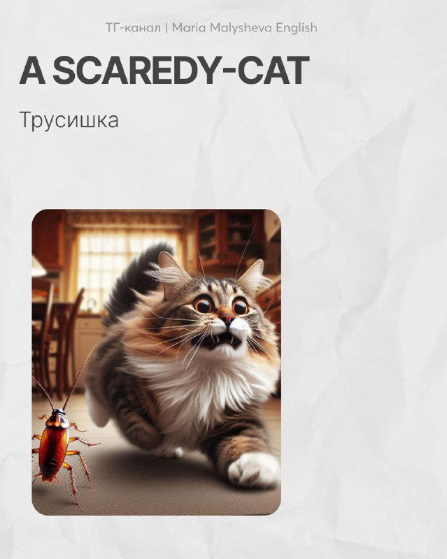 Испуганный кот с комично широко раскрытыми глазами — изображение для ассоциации со словом «scaredy‑cat» и его значением.