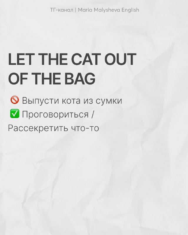Слайд с выражением «LET THE CAT OUT OF THE BAG» и пометками о неправильном и корректном переводе; шрифт крупный на светлом фоне