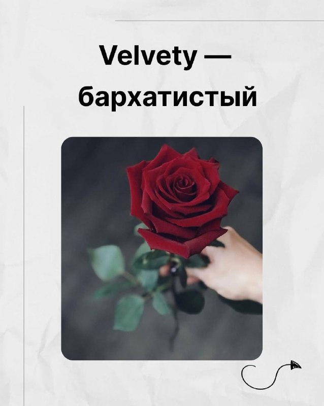Красная роза в руке на затемнённом фоне — иллюстрация velvety (бархатистый) при описании текстуры в подборке Марии Малышевой.
