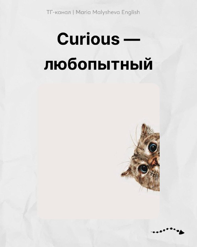 🔟 чувств человека на английском