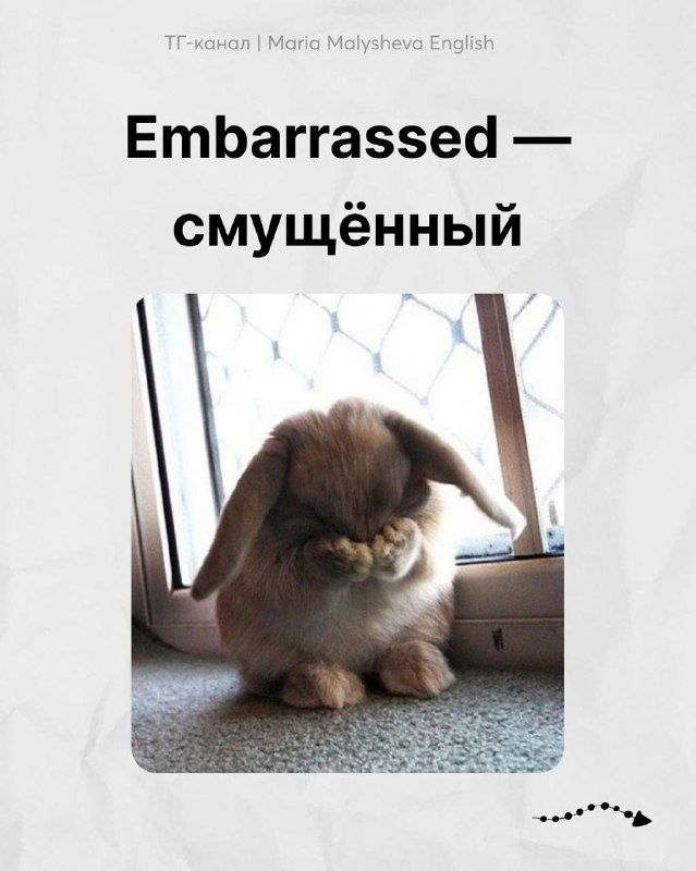 Милый кролик, опущенный взгляд; картинка подписана «Embarrassed — смущённый» для визуального сопоставления слов.