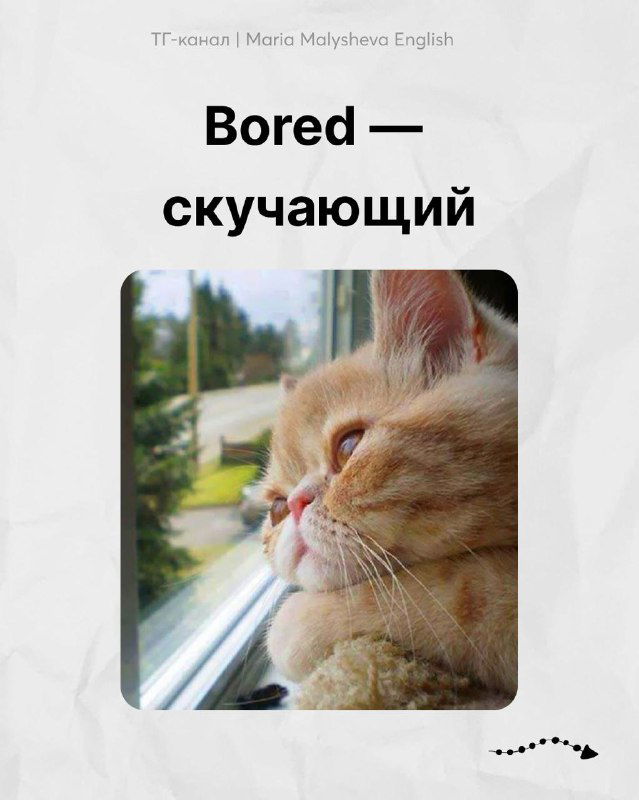 Кот, смотрящий в окно с задумчивым видом; карточка «Bored — скучающий» иллюстрирует эмоцию для изучающих английский.