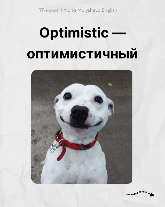 Дружелюбная собака с улыбкой; карточка «Optimistic — оптимистичный» как пример положительной эмоции на английском.