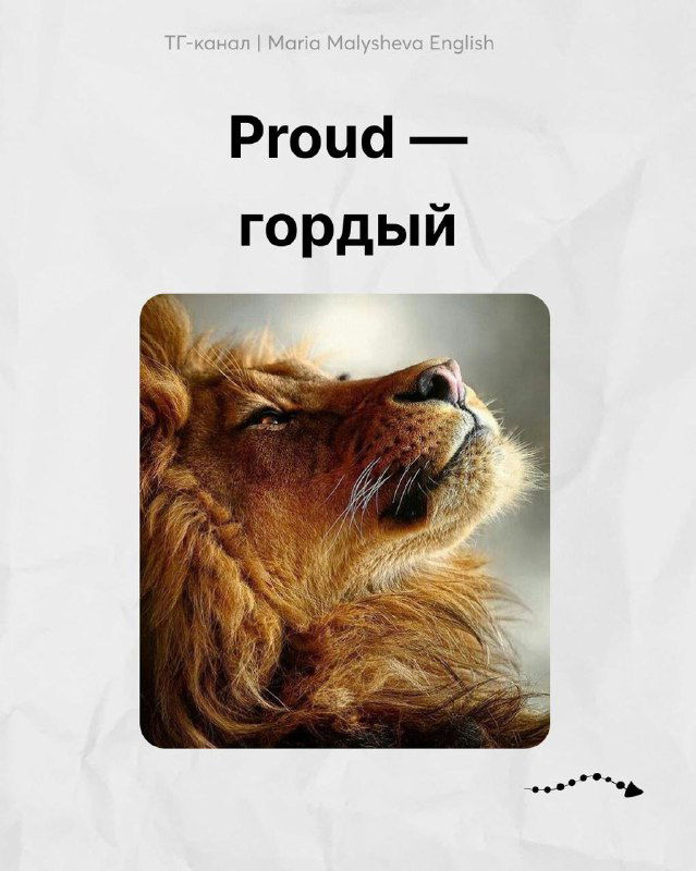 Профиль льва с гордым выражением морды; карточка «Proud — гордый» для ассоциативного запоминания английского слова.
