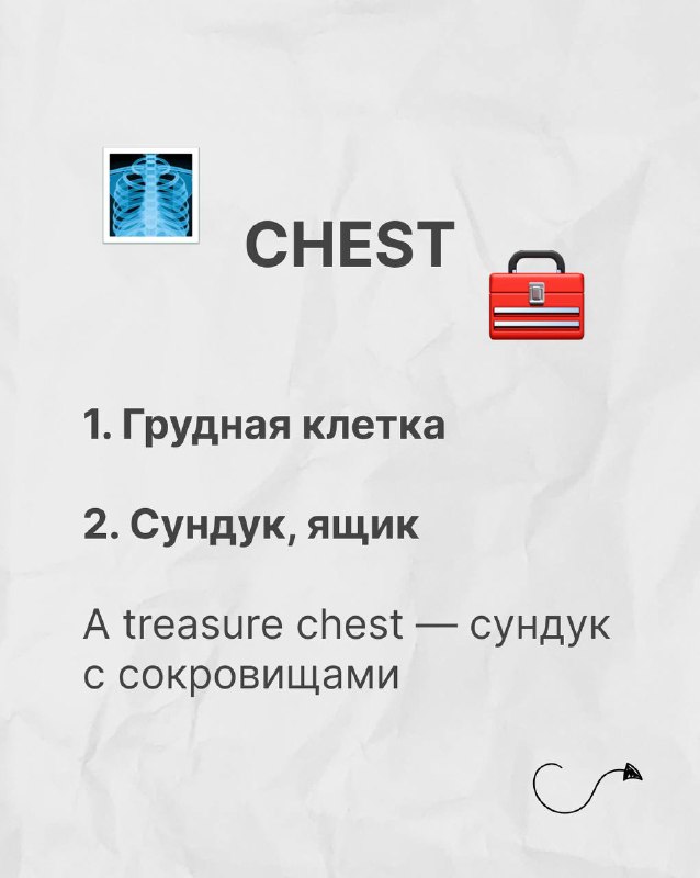 Слайд с заголовком CHEST, эмодзи рентгеновского снимка и сундука; показаны значения «грудная клетка» и «сундук, ящик», с поясняющей фразой.