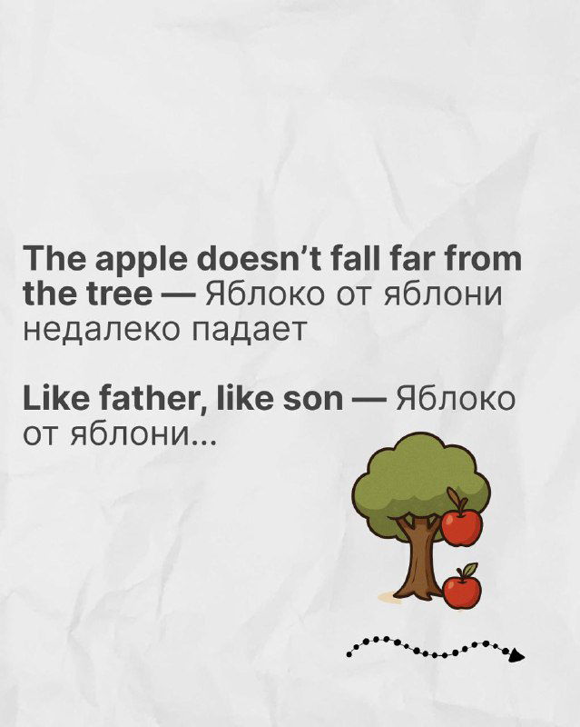 Карточка с идиомой «The apple doesn’t fall far from the tree» и русским переводом, изображение яблони и падающих яблок в учебной инфографике.