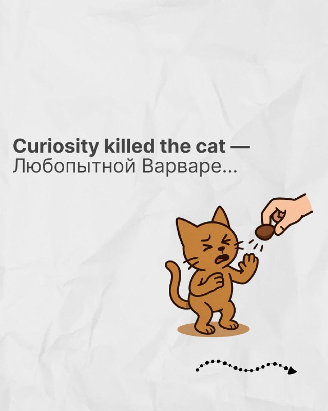 Карточка «Curiosity killed the cat» с переводом и мультяшным котом, изображение подчёркивает предупреждающий характер идиомы в лёгкой форме.