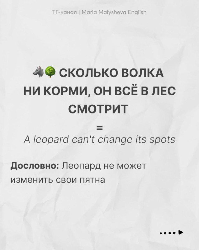 Слайд с поговоркой про леопарда и переводом 'A leopard can't change its spots' и кратким пояснением значения на русском.