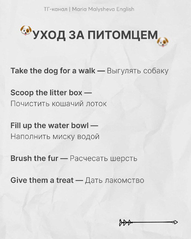 Слайд «Уход за питомцем»: англоязычные фразы для собак и кошек (take the dog for a walk, scoop the litter box) с переводами и аккуратным дизайном.