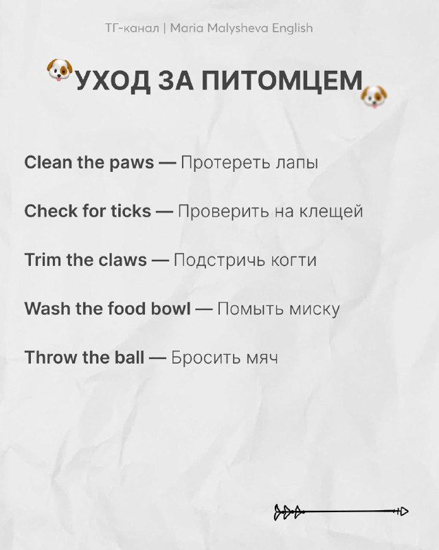 Слайд «уход за питомцем»: английские фразы про животных (clean the paws, check for ticks, wash the food bowl) с переводами.