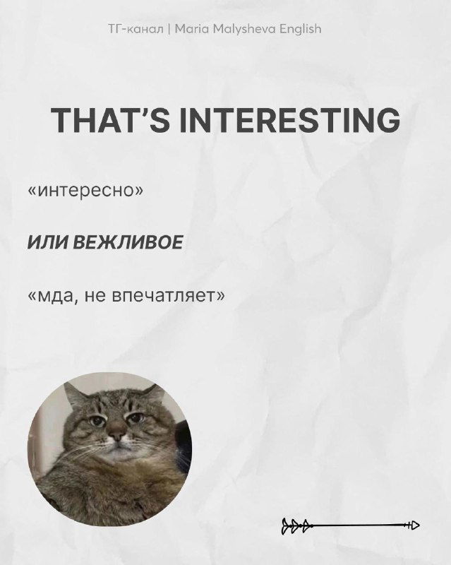 Слайд с фразой THAT'S INTERESTING и русскими пояснениями: «интересно» или вежливое «мда, не впечатляет», рядом фото кота на белом фоне.