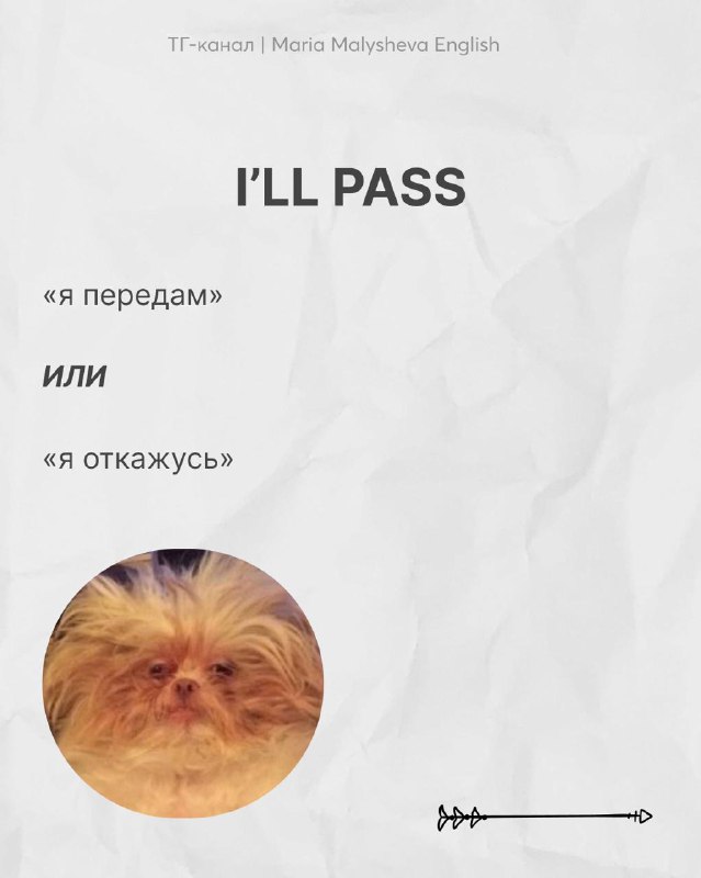 Слайд с фразой I'LL PASS и пояснениями: «я передам» или «я откажусь», с круглым фото маленького пушистого животного.