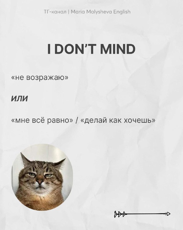 Слайд с фразой I DON'T MIND и пояснениями: «не возражаю» или «мне всё равно / делай как хочешь», рядом фото серьёзной кошки.