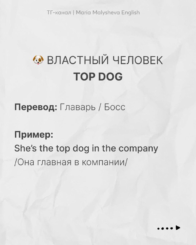 Слайд с выражением «Top dog» и переводом «Главарь/Босс», пример предложения на английском и русский перевод на текстурном фоне.