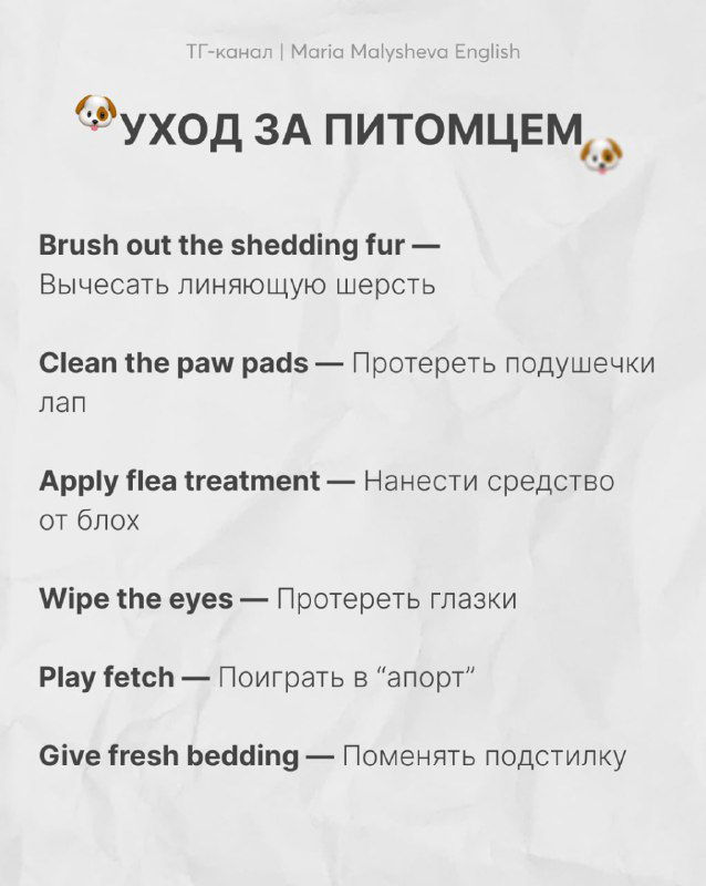 Слайд «Уход за питомцем»: фразы для ухода за животными на английском (brush out the shedding fur, clean the paw pads, apply flea treatment и др.).