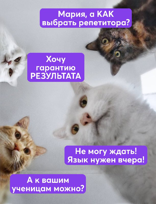 БЕСПЛАТНЫЕ консультации с ТОП-лингвокоучами