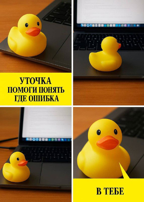 Метод «уточки» (rubber duck debugging)