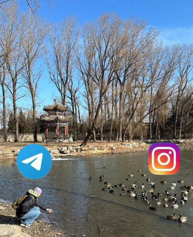 Как перелить аудиторию из инсты?