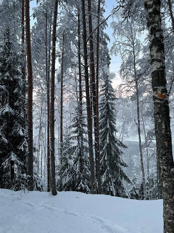 Выход из зоны комфорта и внутренний рост