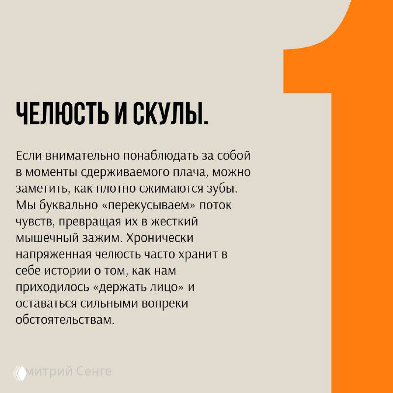 Слайд с заголовком «Челюсть и скулы», описание о сжатии зубов, мышечных зажимах и хранимой внутри истории, бежевый фон и крупный текст.