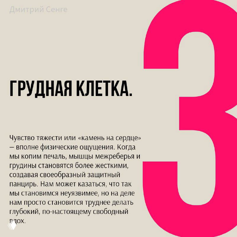 Слайд «Грудная клетка» с описанием чувства тяжести и «камня на сердце», о том, как сжатие межреберных мышц ограничивает дыхание.