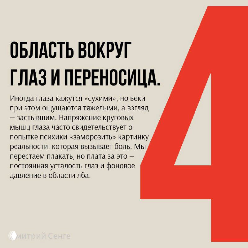 Слайд про область вокруг глаз и переносицы: описание замерзшего взгляда, напряжения круговых мышц и постоянной усталости глазного региона.