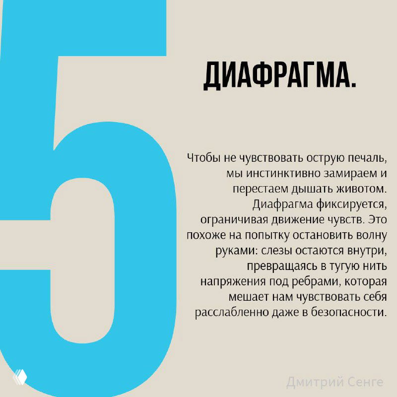 Слайд «Диафрагма» о том, как диафрагма фиксируется, ограничивая движение и мешая свободному дыханию, визуально выдержан в едином стиле карусели.