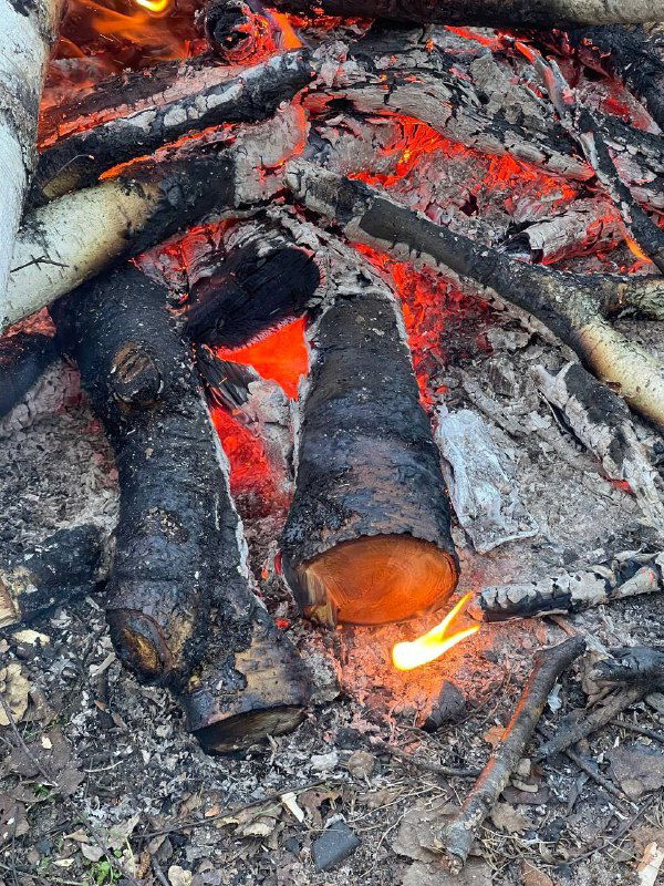 Шашлычный сезон открылся