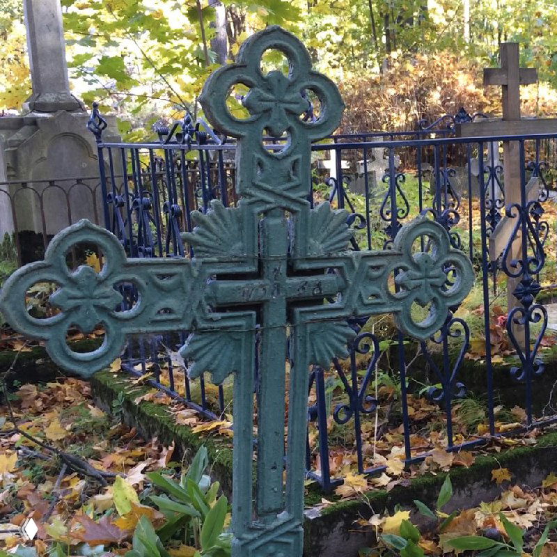 Осенью хороши листья ветлы