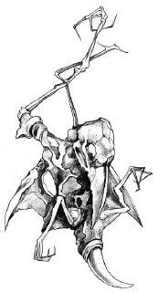 Татьяна Замировская. «Земля случайных чисел»