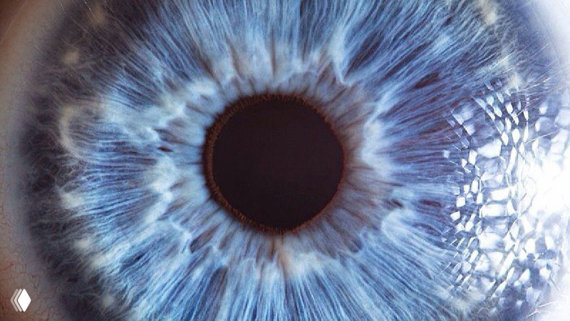 Фото радужки глаза на мероприятии — 10x15 и на e‑mail