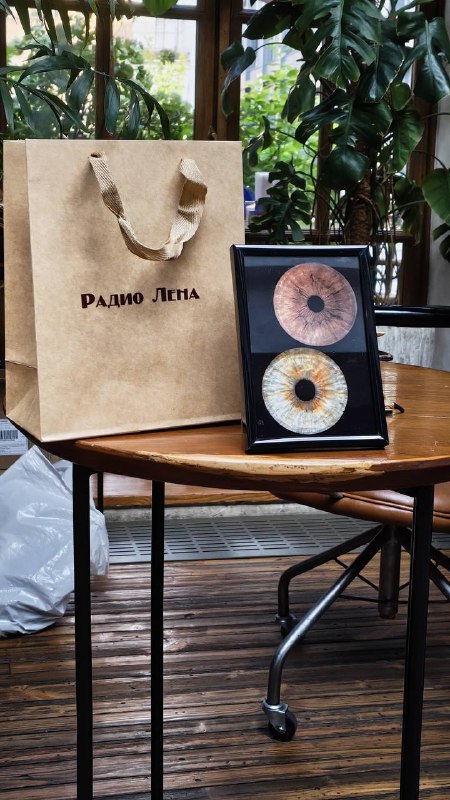 Стол с крафтовым пакетом и экспозицией — рамка с напечатанными макро‑фотографиями радужки глаза на фоне растений и мебели в локации.