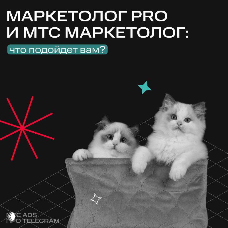 Маркетолог PRO и МТС Маркетолог: сравнение