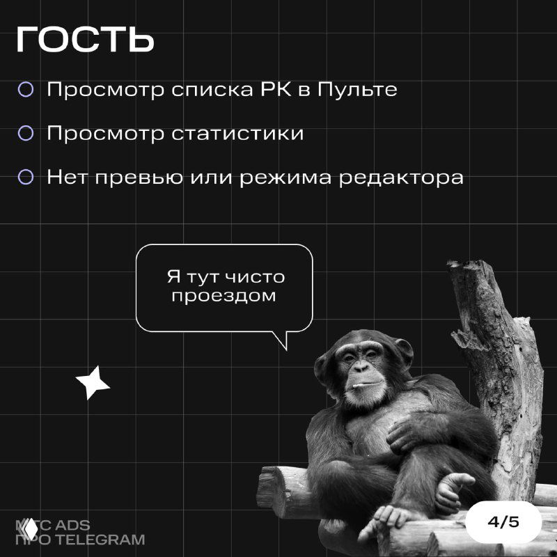 Карточка «Гость» с отмеченными ограничениями: просмотр списка РК и статистики, отсутствует превью и режим редактора, юмористическое изображение шимпанзе.
