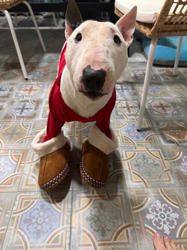 Как бухгалтеру работать с самозанятыми. 4 основных правила