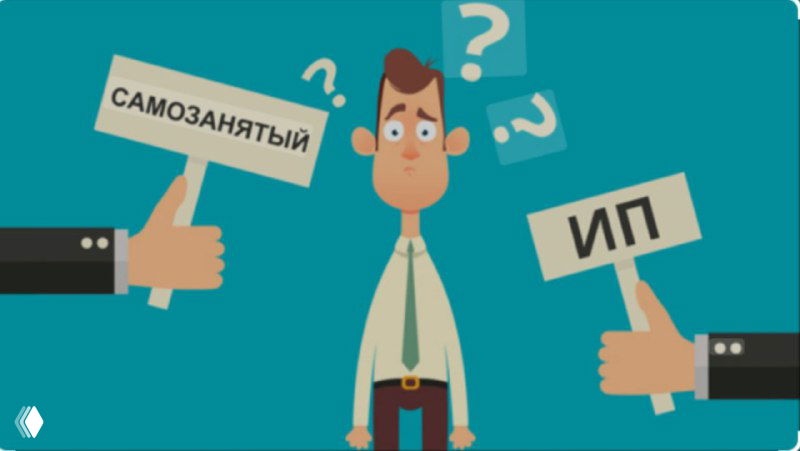 С кем лучше сотрудничать: с ИП или самозанятыми?