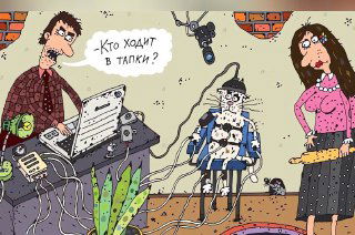 Полиграф на собеседовании: мера или лишний стресс