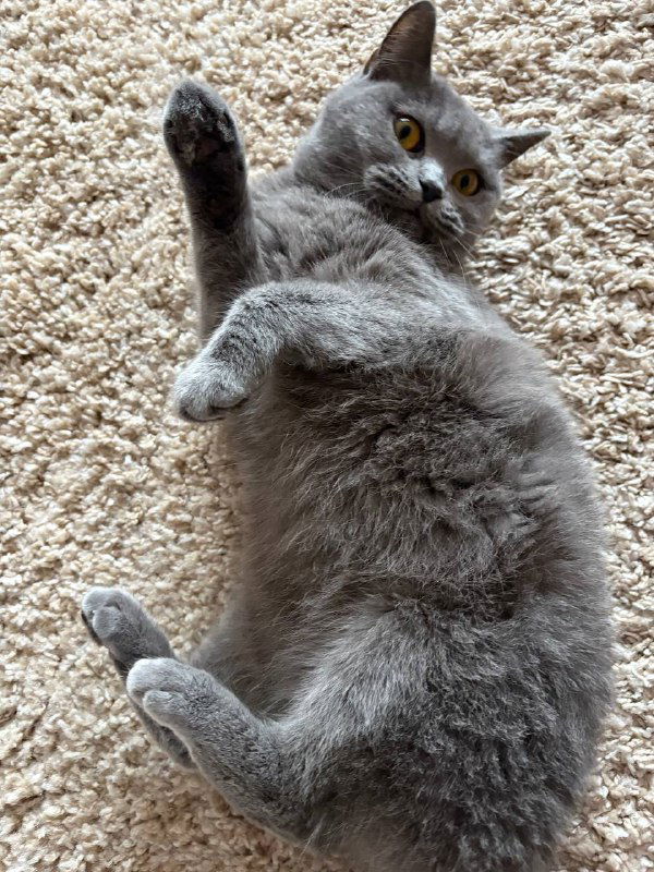 Подработка для бухгалтера: 1–4 часа в неделю