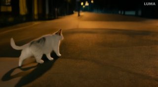 Кот идёт по улице в тёплом вечернем освещении; кадр показывает проблемы с хвостами и смешением конечностей при генерации животных сцен.