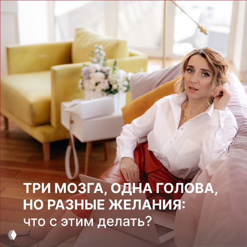 Три мозга, одна голова: разные желания