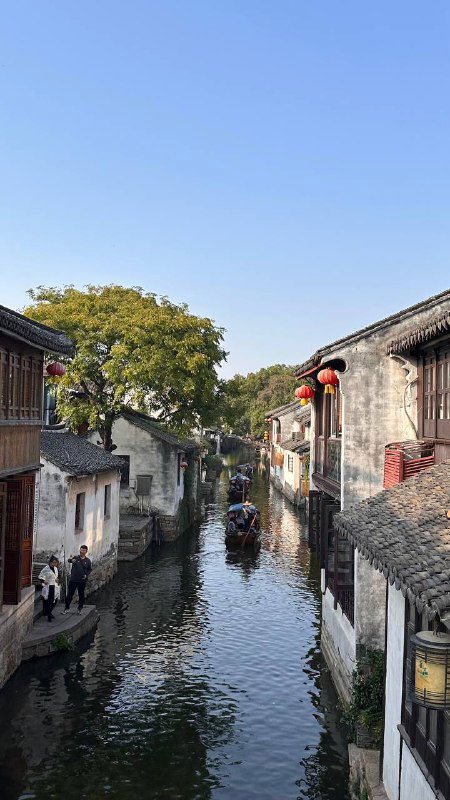 Перезагрузка в Китае: новое окружение и нейронные связи