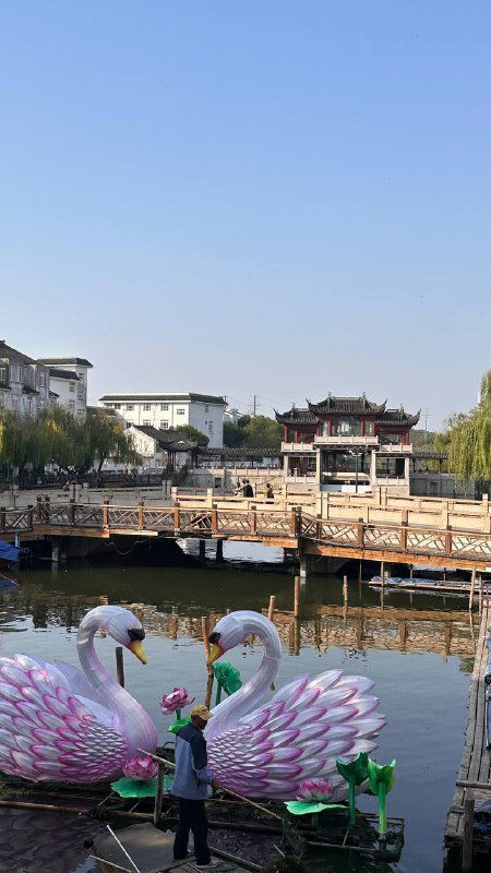 Декоративные большие лебеди-скульптуры на воде у деревянного причала, вокруг люди и архитектура традиционного китайского городка, праздничный декор.