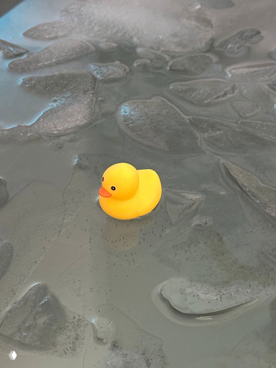 Яркая жёлтая резиновая уточка на влажной текстурной поверхности с лужицами — контрастный визуальный акцент на нейтральном фоне.