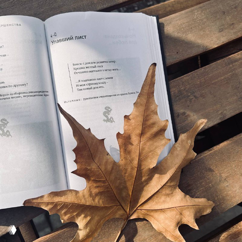 Открытая книга с текстом на странице и крупный сухой кленовый лист сверху; фотография на деревянной скамье в осеннем свете.
