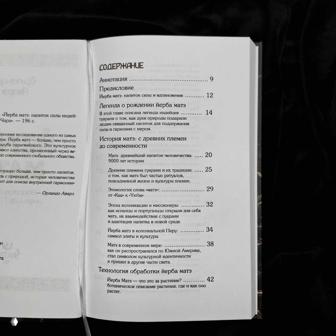 Разворот книги с содержанием: страницы и оглавление на русском языке, белые страницы на тёмном фоне и декоративные орнаменты полей.