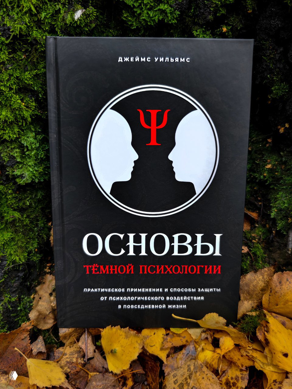 5 новых книг: «Трезвые письма» и другие