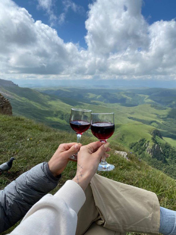 Руки держат два бокала вина на фоне широких зелёных гор и облачного неба — кадр с пейзажем плато и атмосферой горного отдыха.